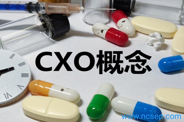 2023CXO概念股龙头一览表（最新）