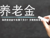 你的养老金今年涨了多少？多地发布养老金调整方案