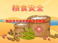 如何奋力夯实粮食安全根基？